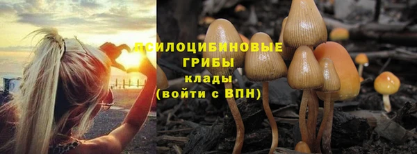 не бодяженный Алексин
