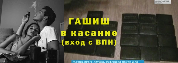 тгк Абаза