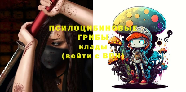 альфа пвп Алексеевка