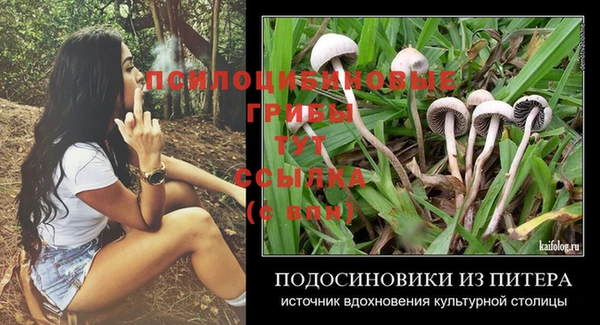 не бодяженный Алексин