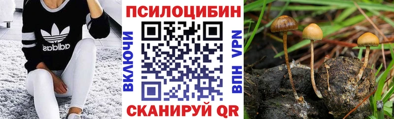 где купить наркоту  Бугуруслан  Псилоцибиновые грибы ЛСД 